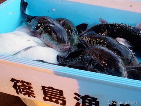 島写_篠島_風景_観光_2010-10-06 17-36-16