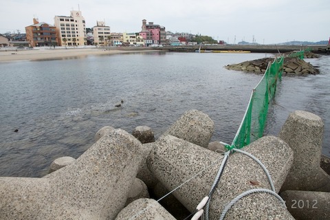 日間賀島_自転車_日間賀島音楽祭_HMK_イルカ_ 2012-05-20 13-08-36