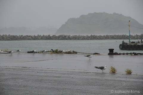 台風_篠島_風景_2011-09-02 12-19-32