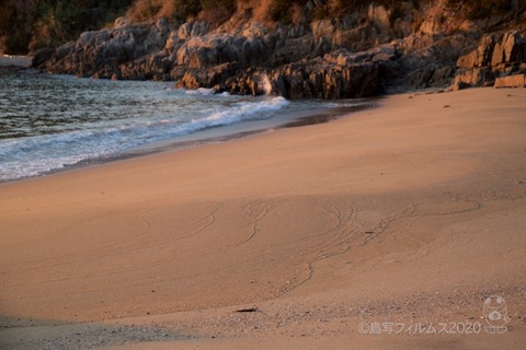 松島の夕日_汐味海岸_2020-12-22_16-22-12