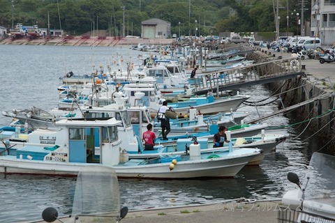 日間賀島_自転車_日間賀島音楽祭_HMK_イルカ_ 2012-05-20 13-20-18