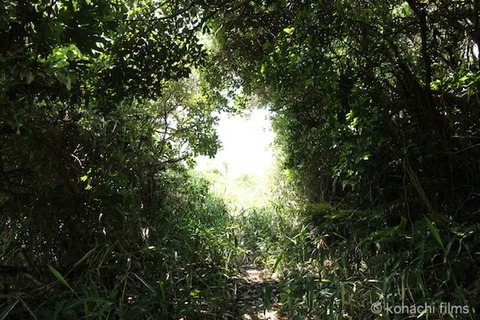 小山島_矢穴石_枕石_棚橋_篠島_風景__2011-05-19 13-29-43