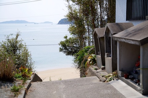 ねことじいちゃん_2019-03-12 11-11-02