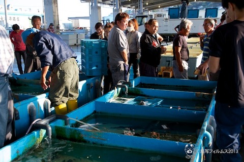 篠島トラフグ_2013-10-14 15-47-17