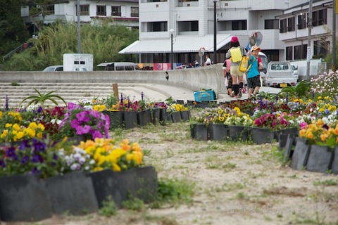 篠島ウミガメ隊_ゴミ拾い_前浜_スナメリ_2012-06-06 07-50-18