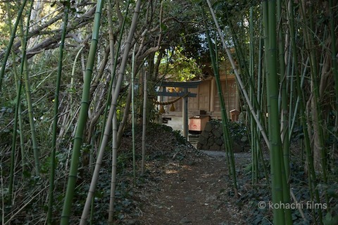 島写_佐久島_まちづくり会2011-12-05 09-44-29