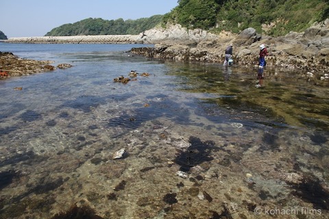 小山島_矢穴石_枕石_棚橋_篠島_風景__2011-05-19 13-54-40