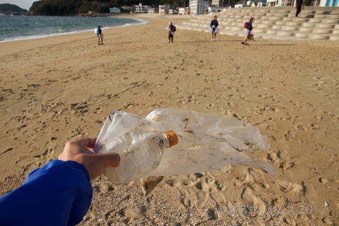 ウミガメ隊_早朝清掃_篠島小学校_2012-10-10 07-40-41