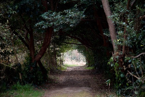 佐久島テラス_2023-02-23 13-31-54
