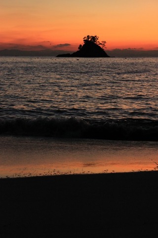 IMG_0695