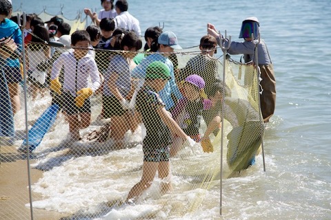 魚のつかみ取り_2017-05-05 09-03-26 - 2017-05-05 09-03-26