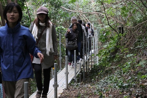 篠島まちづくり会_レクチャーツアー_2011-10-30 11-29-23