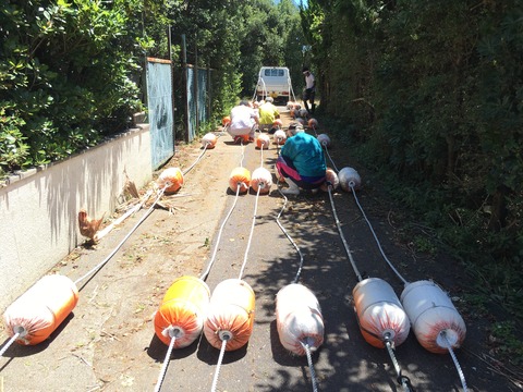 写真 2018-07-30 11 12 06