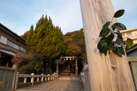 篠島元旦_八王子社_神明神社_2012-01-01 07-26-46