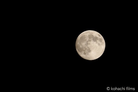 島写_篠島_風景_観光_2010-09-22 20-05-08