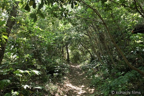 小山島_矢穴石_枕石_棚橋_篠島_風景__2011-05-19 13-23-32