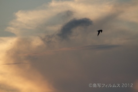 漁港_篠島_写真_夕日_漁船_#Silhouette_2012-09-15 17-54-59