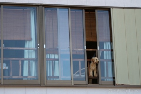 島写_篠島_風景_観光_2010-09-22 16-00-57