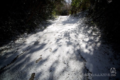 篠島_雪_2018-01-25 09-49-49