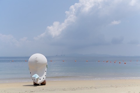 しらっぴー_篠島_2015-06-23 12-04-56