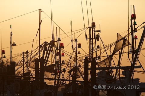 漁港_夕日_篠島_風景_写真_2012-03-21 17-27-00