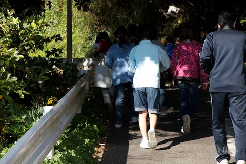 篠島観光協会_篠島小学校フグ実習_2011-11-15 09-53-48