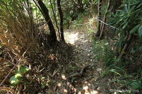 小山島_矢穴石_枕石_棚橋_篠島_風景__2011-05-19 13-31-11