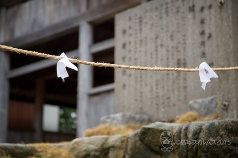 篠島御遷宮_伊勢神宮_御遷座_2015-03-16 17-28-17