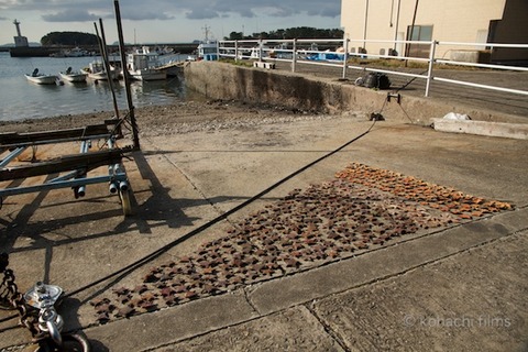 島写_佐久島_まちづくり会2011-12-05 09-20-52