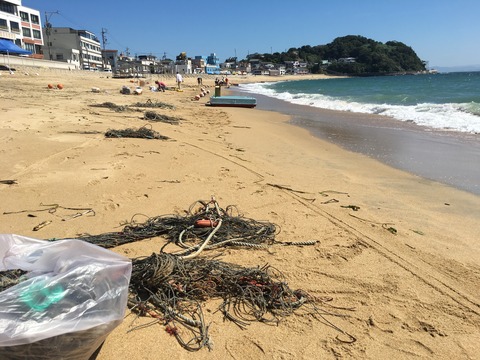 写真 2018-07-30 9 19 42