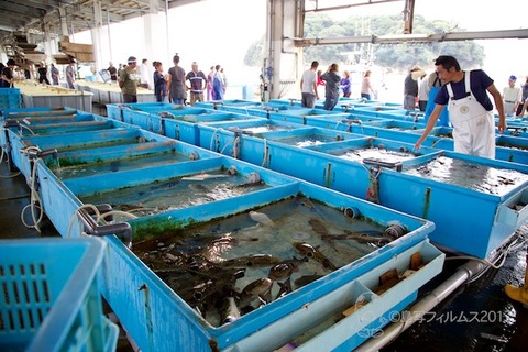 篠島とらふぐ_2017-10-01 15-53-43