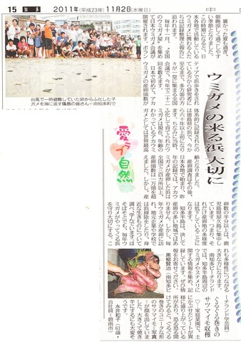 ウミガメ_篠島_前浜_中日新聞_2011-11-03 23-57-05 (1)