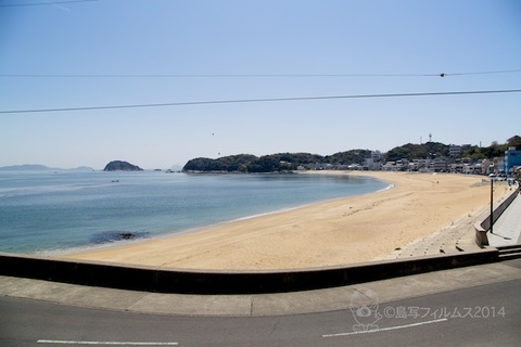 海岸日和_篠島_前浜_大潮_2014-04-15 12-44-12