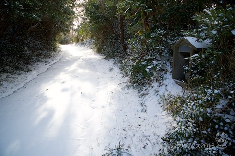 篠島_雪_2018-01-25 09-22-58