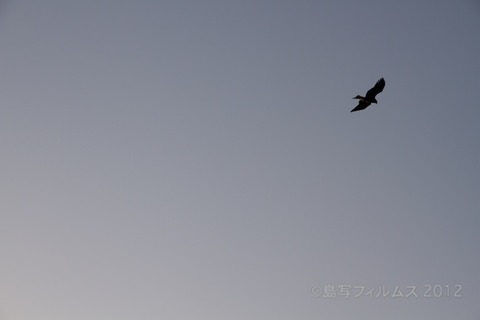 漁港_夕日_篠島_風景_写真_2012-03-21 17-23-03