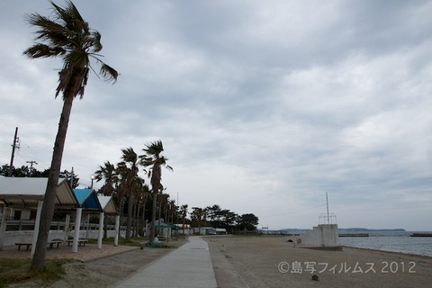 日間賀島_自転車_日間賀島音楽祭_HMK_イルカ_ 2012-05-20 15-58-57