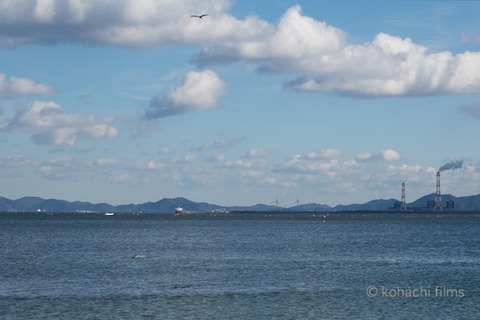 スナメリ前浜_2011-12-27 13-49-49