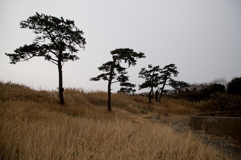 佐久島テラス_2023-02-23 10-36-43
