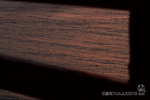 松島の夕日_歌碑公園_2018-02-20_17-35-18