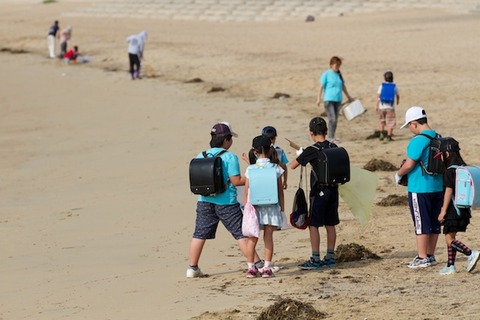 ウミガメ隊_篠島小学校_写真_2013-06-05 07-35-24
