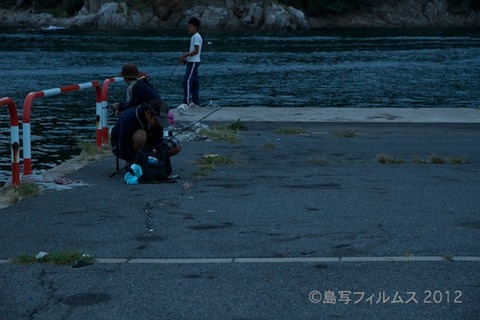 漁港_篠島_写真_ねこ_アオリイカ_#Silhouette_2012-09-14 18-03-07