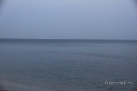篠島_スナメリ_おんべ鯛奉納祭前夜祭_2011-10-11 16-55-06