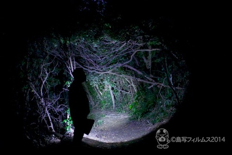 篠島ヒメホタル_2014-05-13 22-08-22