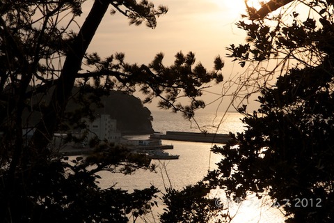 漁港_夕日_篠島_風景_海苔網_ゴルフ場_中手島_2012-02-16 16-49-54