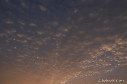 島写_漁港_夕日_篠島_風景_観光_恵比寿ヶ鼻_2011-06-11 18-54-27