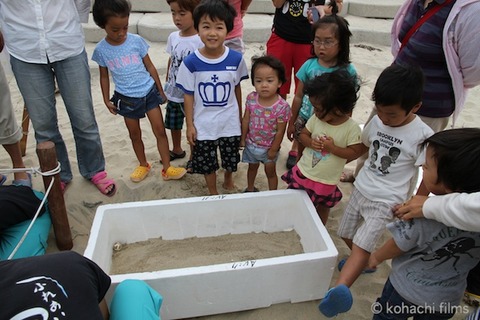 ウミガメ産卵_篠島_写真_前浜_保護_2011-08-31 16-36-19
