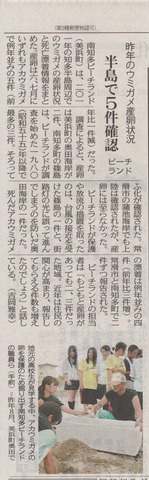 ウミガメ白書2011＠中日新聞