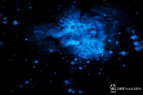 夜光虫アート_2013-06-22 21-54-10