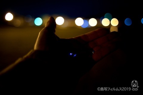 ウミホタル_篠島_前浜_ 2019-03-18 21-09-29