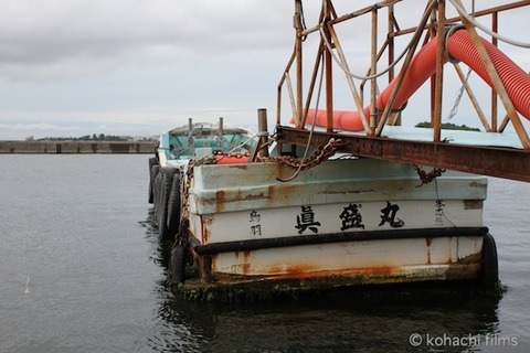 あいちの離島_篠島_風景_観光_2011-08-25 16-21-44